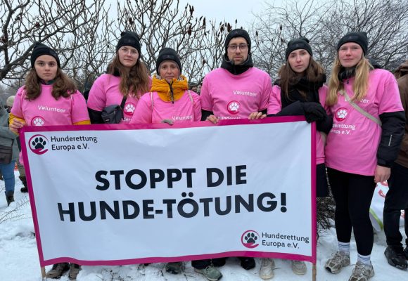 Gruppe Menschen steht in Rumänien mit einem großen Banner mit Aufschrift "Stoppt die Hundetötung"