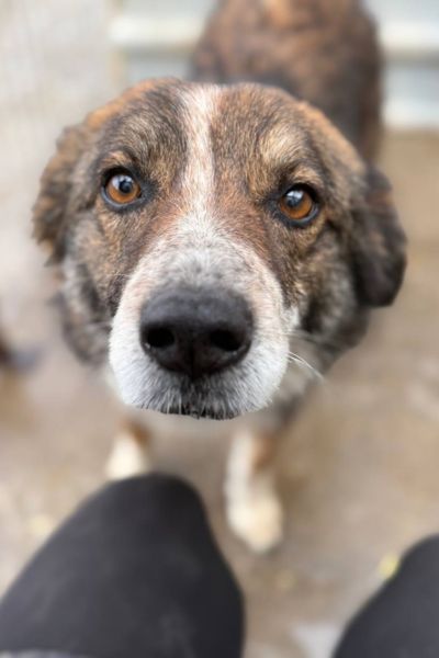 Malou schaut zutraulich in die Kamera.