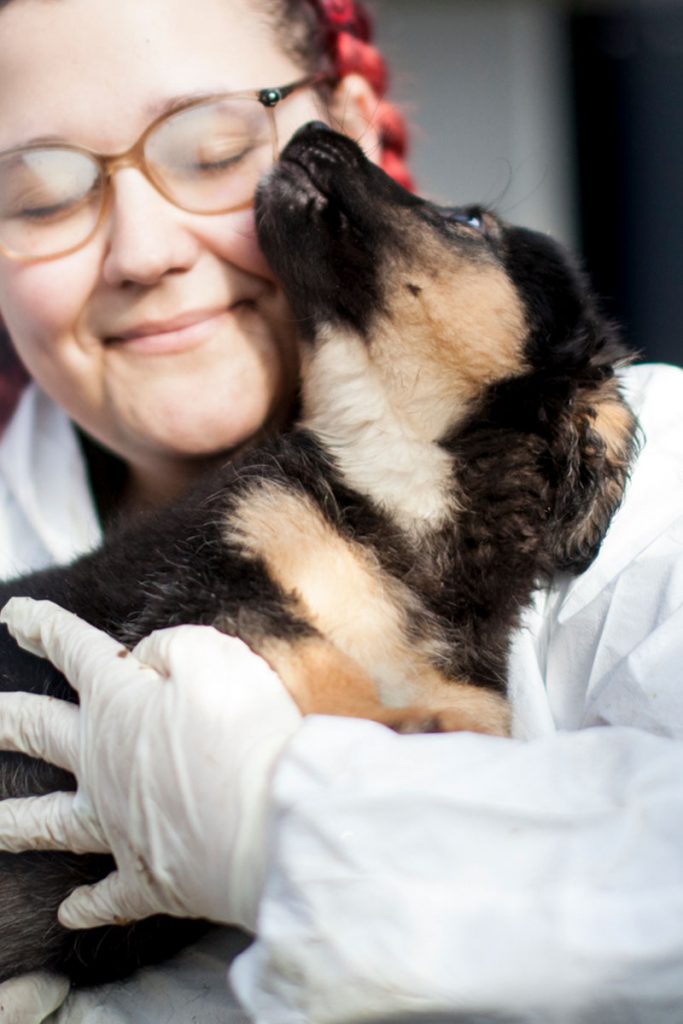 Strudel wird auf dem Arm gehalten und schaut zur Seite