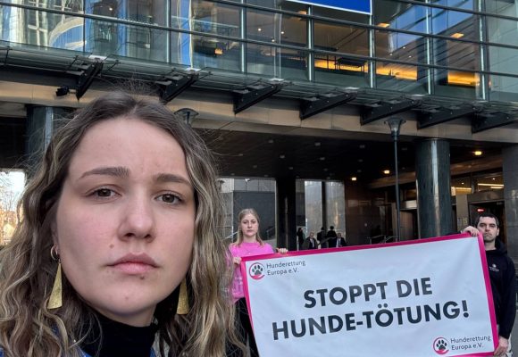 Drei Tierschützer:innen halten ein Plakat hoch.