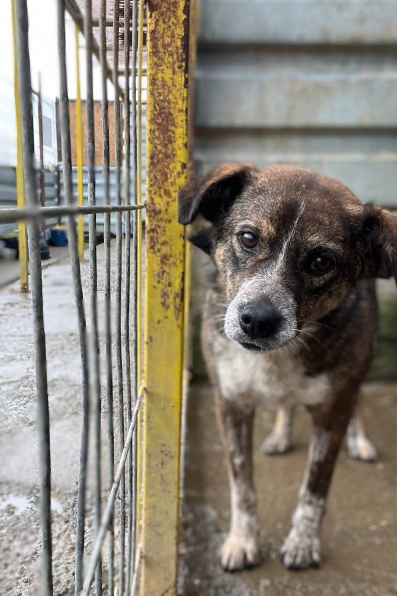 Emilia schaut mit geneigtem Kopf in die Kamera