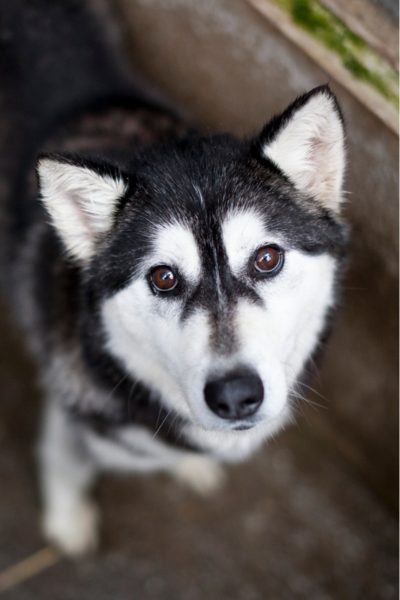 Lilith schaut in die Kamera