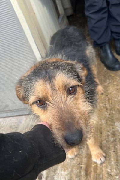 Nuuki schaut goldig in die Kamera