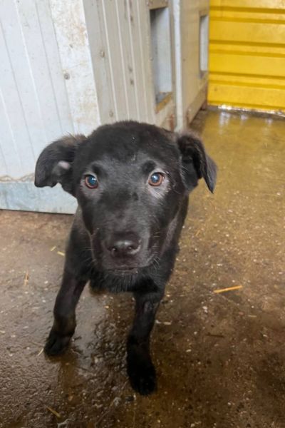 Aubergine sieht líeb in die Kamera