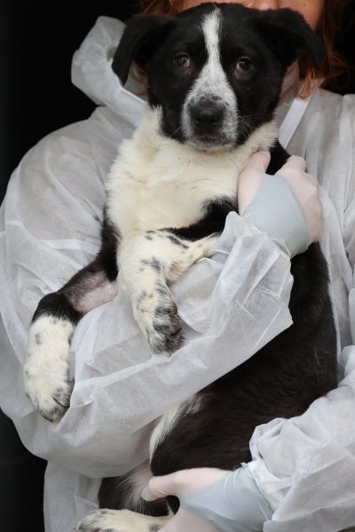 Avi schaut in die Kamera