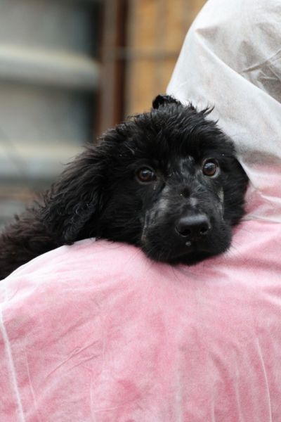 Nuri sieht in die Kamera