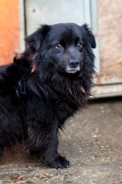 Mori steht und schaut in die Kamera.