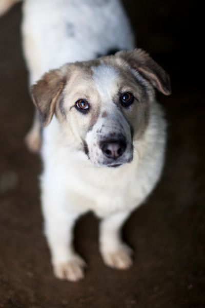 Nalah schaut neugierig hoch in die Kamera.