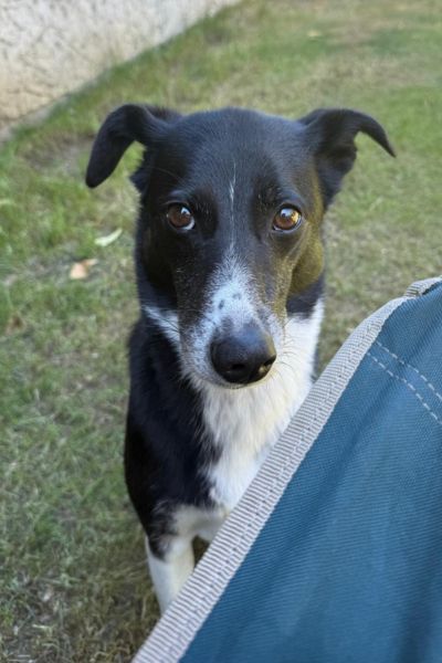 Ella schaut treu in die Kamera.