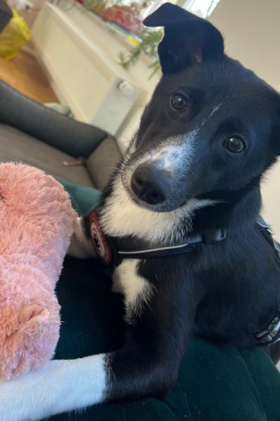 Ella liegt neben ihrem Kuscheltier.