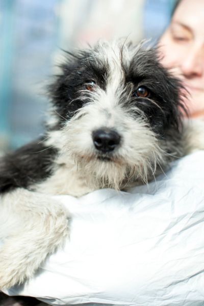 Vida auf dem Arm einer Pflegerin