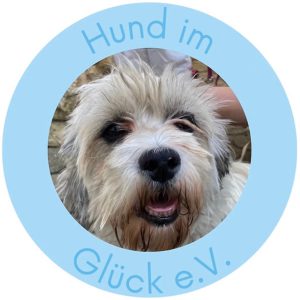 11 Hund im Glück e.V.