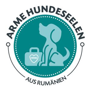 21 Arme Hundeseelen aus Rumänien