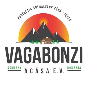 26 Vagobonzi Acasa eV