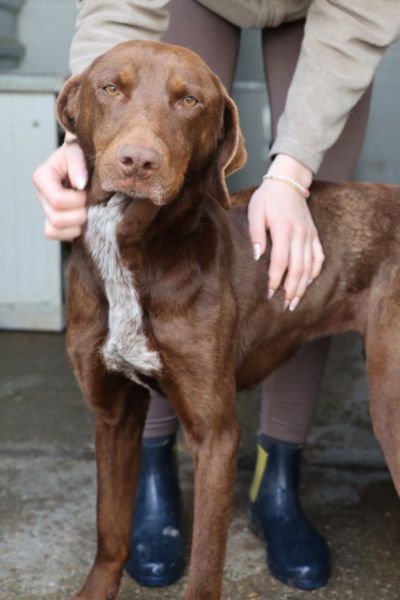 Asuka schaut in die Kamera und wird gestreichelt