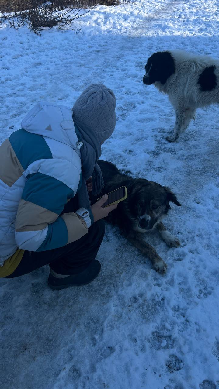 Neue Freunde werden unterwegs immer gemacht.