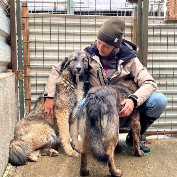 Frau hockend mit zwei Hunden im Zwinger