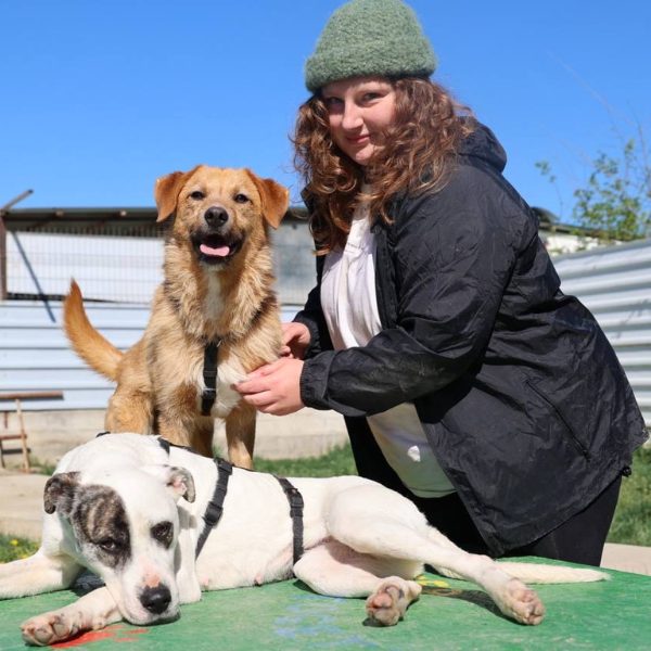 Frau mit zwei Hunden und schaut in die Kamera.
