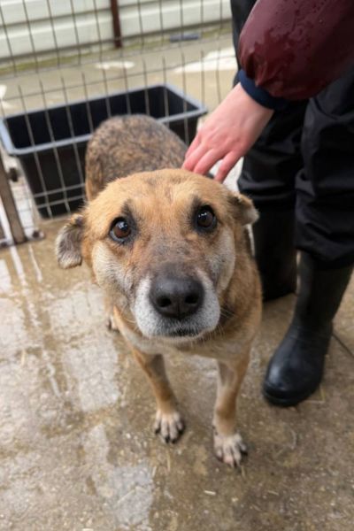 Wanja schaut neugierig hoch in die Kamera.