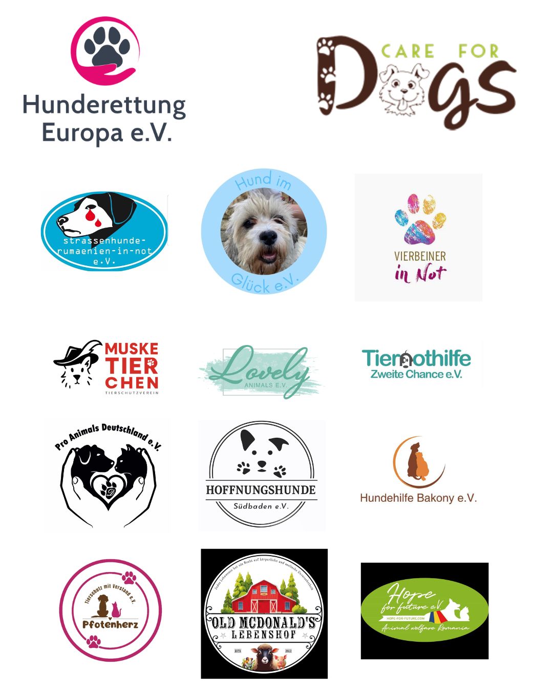 Online-Demo-Rumänien-Tierschutzvereine-Hunderettung-Europa1