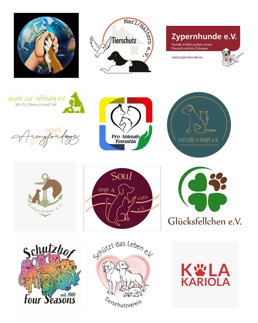 Online-Demo-Rumänien-Tierschutzvereine-Hunderettung-Europa3