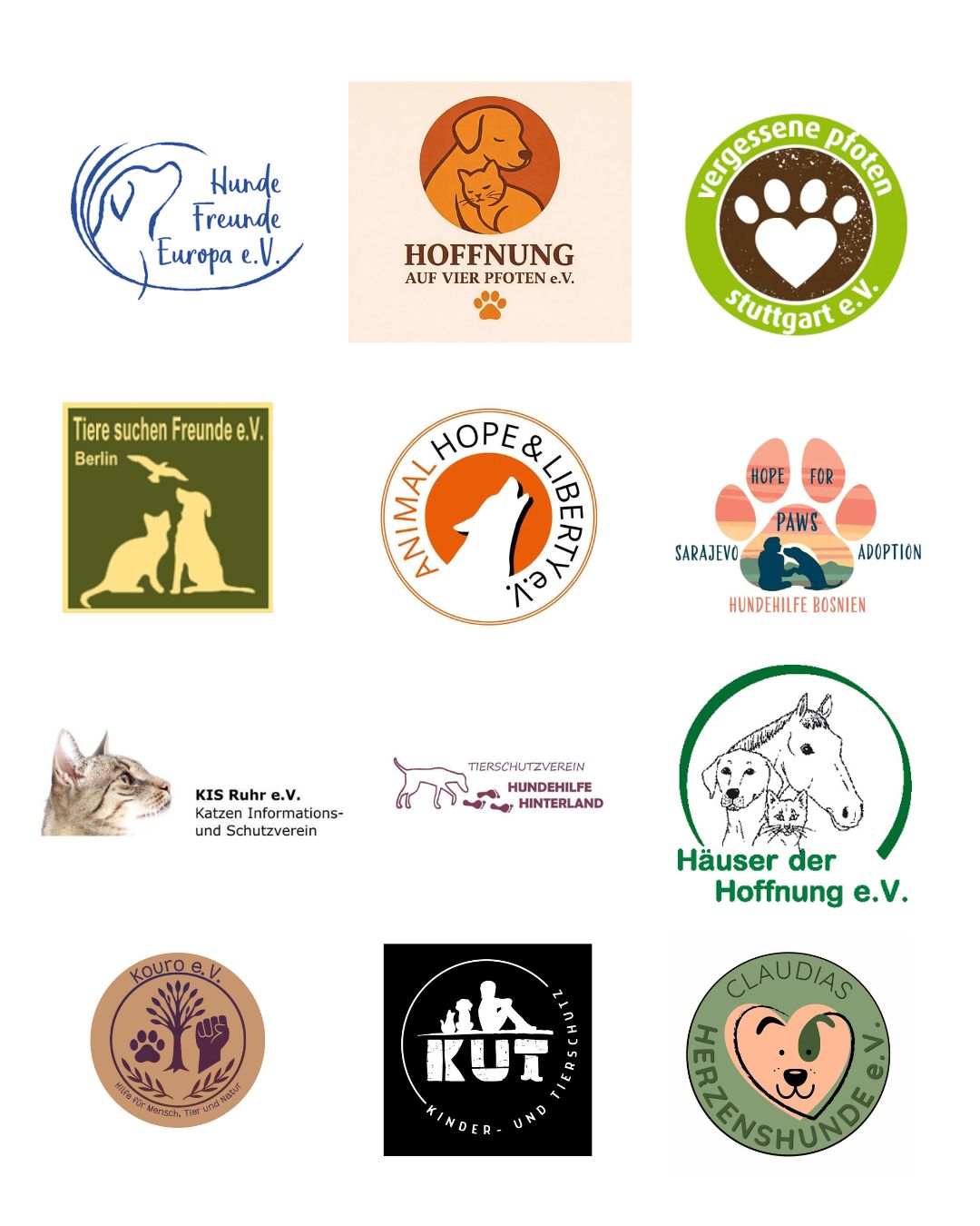 Online-Demo-Rumänien-Tierschutzvereine-Hunderettung-Europa5