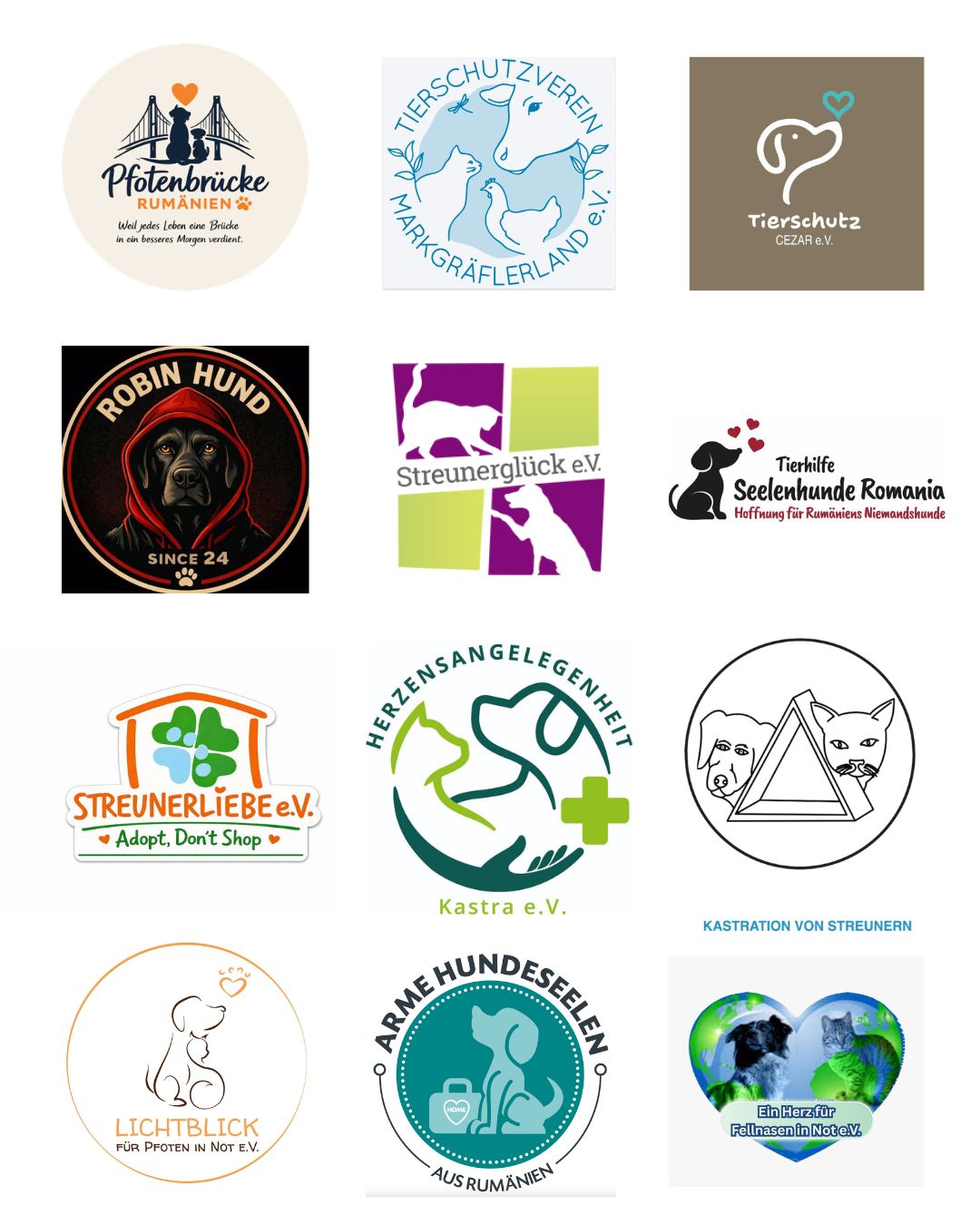 Online-Demo-Rumänien-Tierschutzvereine-Hunderettung-Europa7