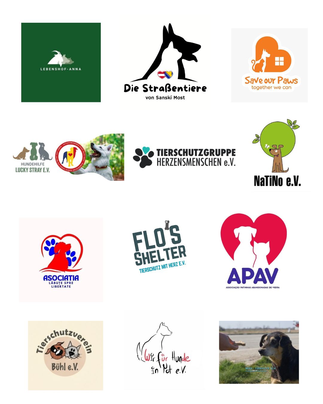 Online-Demo-Rumänien-Tierschutzvereine-Hunderettung-Europa8