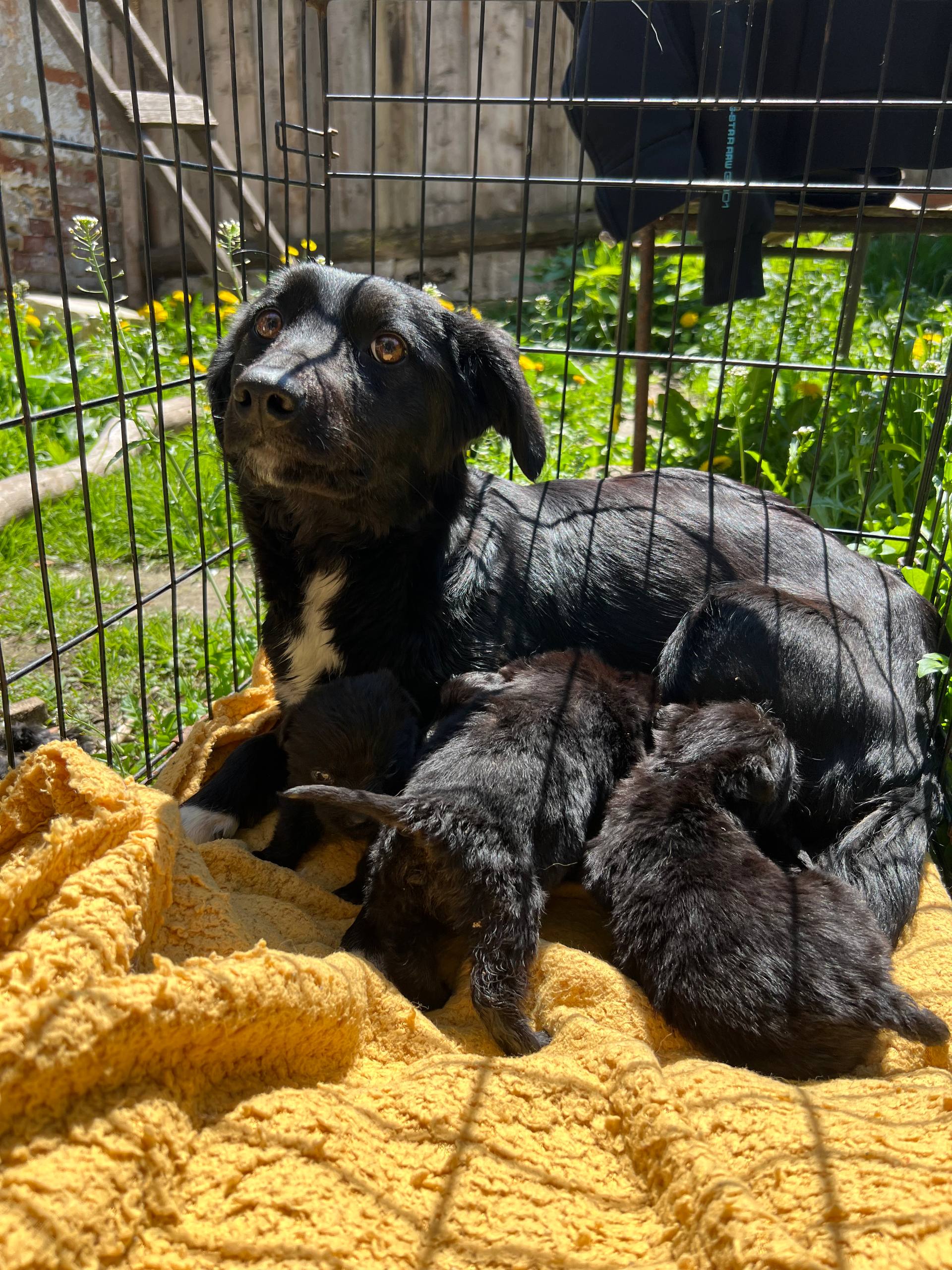Nun wird die kleine Familie bei uns versorgt.