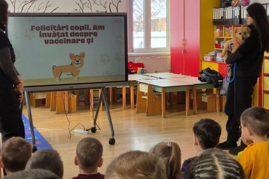 Kinder in einem Klassenzimmer und schauen auf eine Präsentation.