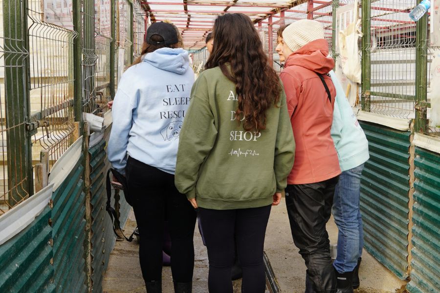pullover-wauladen-unterstützung-hunderettung-europa