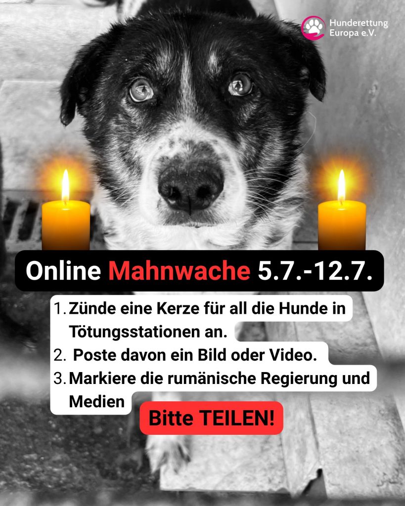 Grafik zur Online-Mahnwache