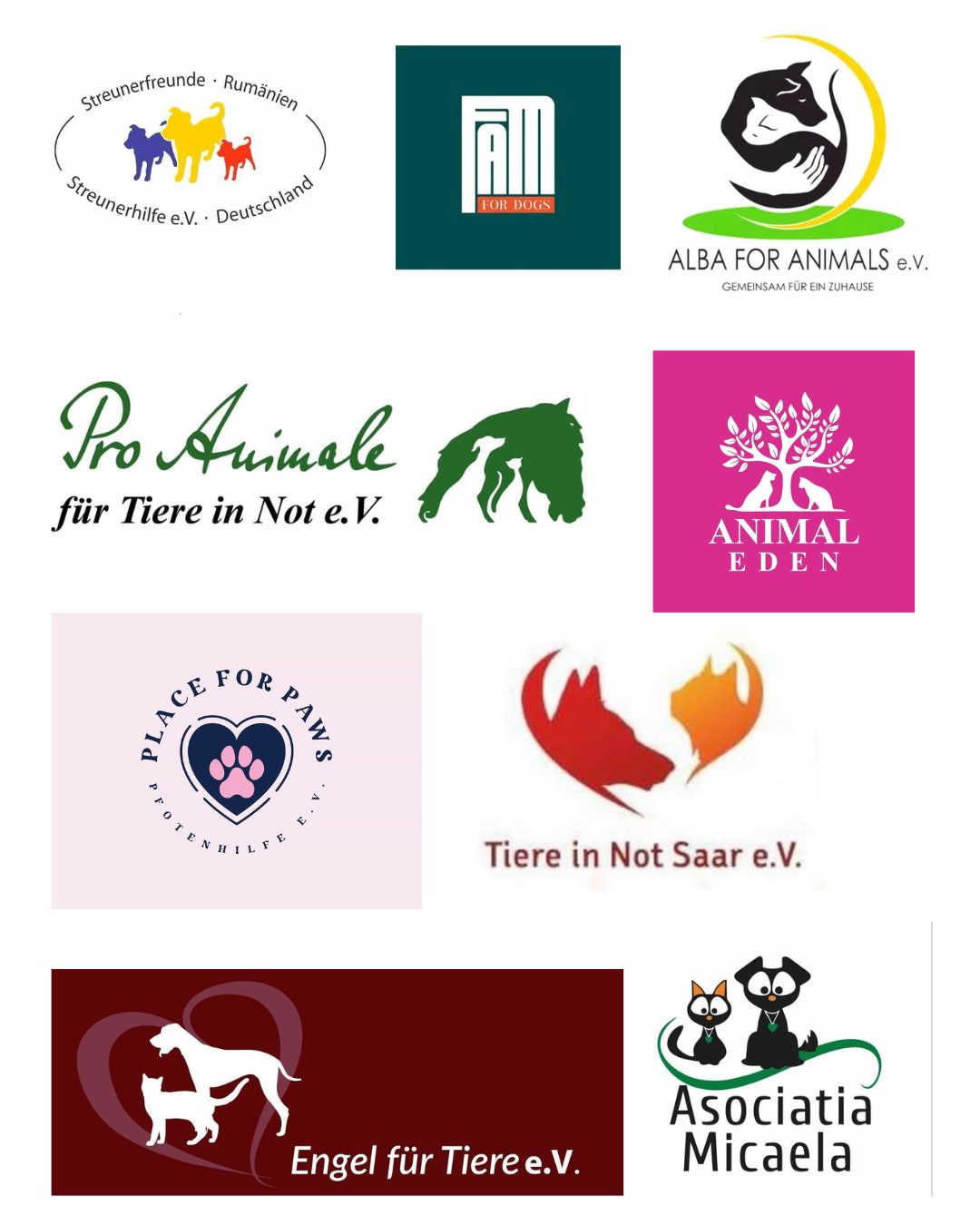 Online-Demo-Rumänien-Tierschutzverein-Hunderettung-Europa1