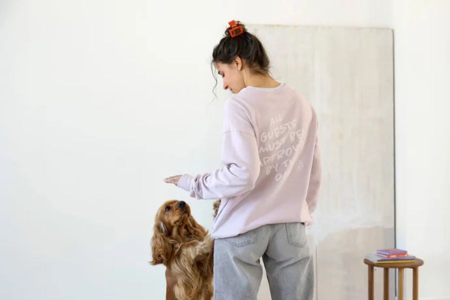 palopa-hundemarke-partner-hunderettung-europa