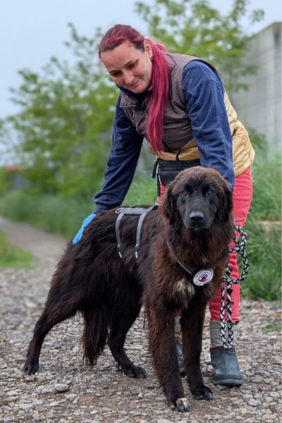 Mensch mit Hund