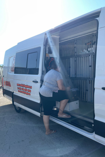 Transporter mit Hunden