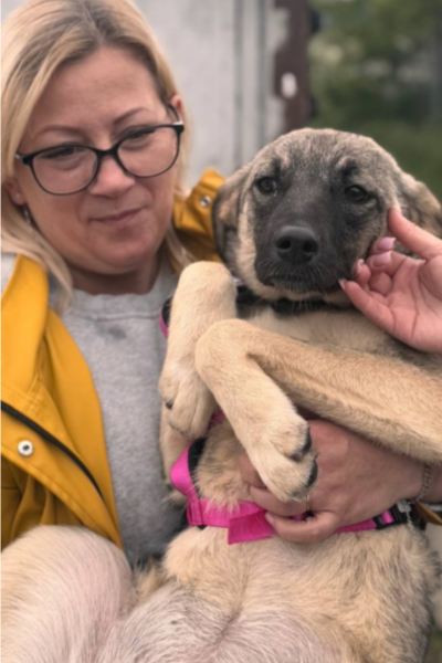 Frau hat Hund auf dem Arm