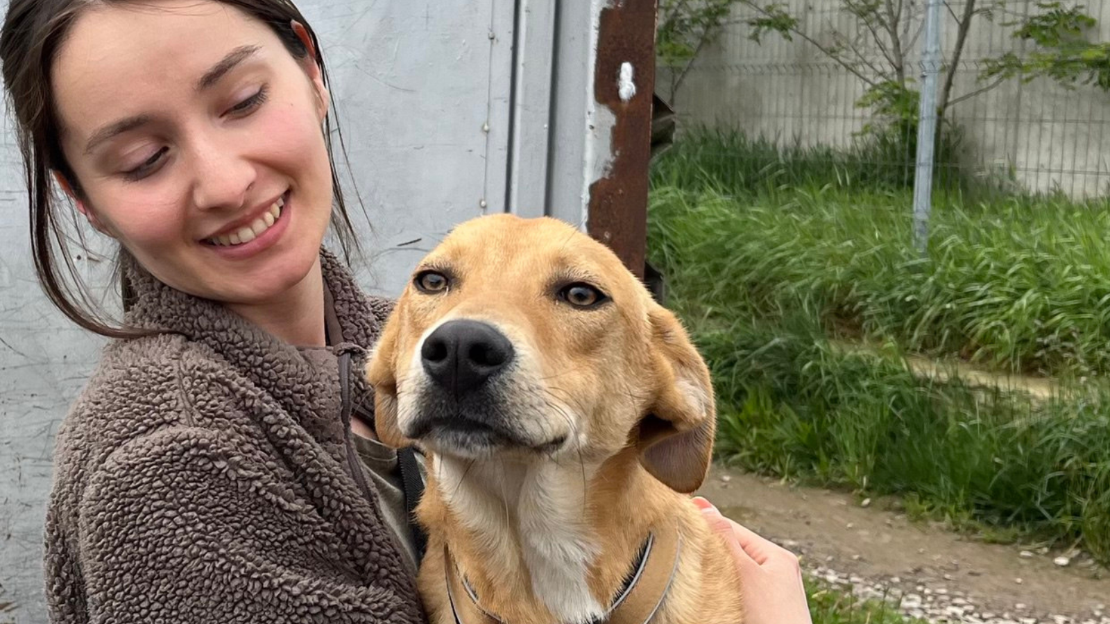 Hund ist bei einer Frau auf dem Arm