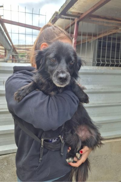 Otis wird von einer Pflegerin auf dem Arm gehalten und schaut ruhig in die Kamera.