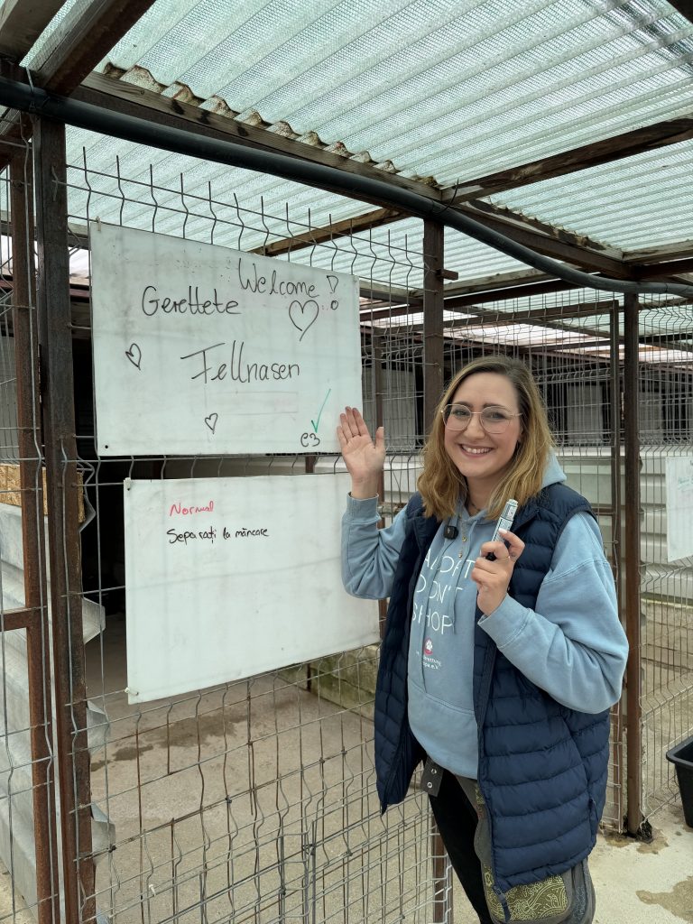 Frau steht vor Zwinger, auf dem "Gerettete Fellnasen" steht
