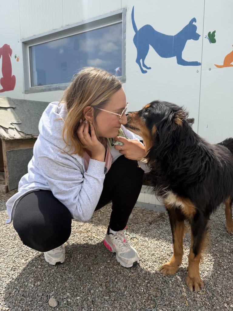 Frau hält ihre Nase an die Nase eines Hundes im Tierheim
