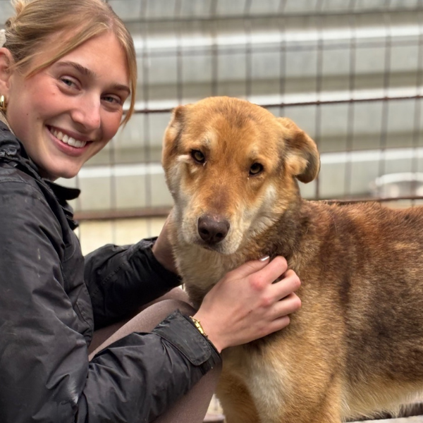 Frau sitzt mit einem Hund und schaut in die Kamera