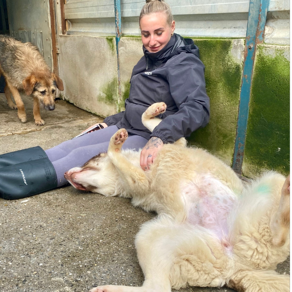 Frau sitzt mit einem Hund und schaut in die Kamera