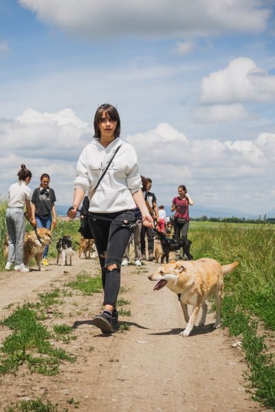 Ein Mädchen geht mit einem Hund an der Leine spazieren