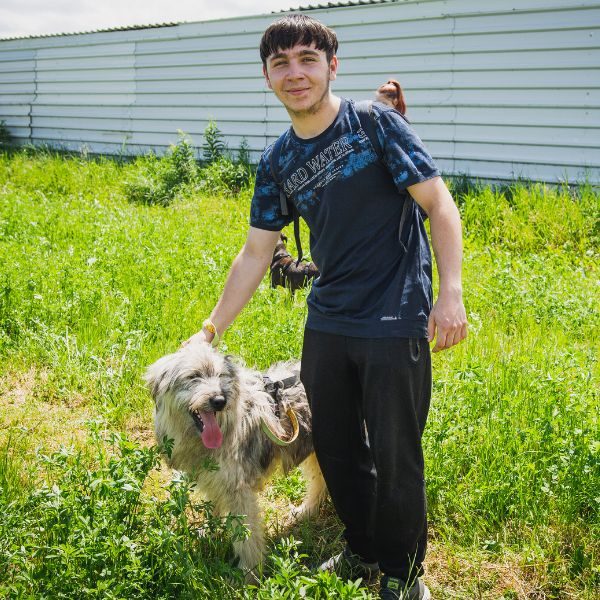 Junge streichelt einen Hund auf der Wiese vorm Tierheim