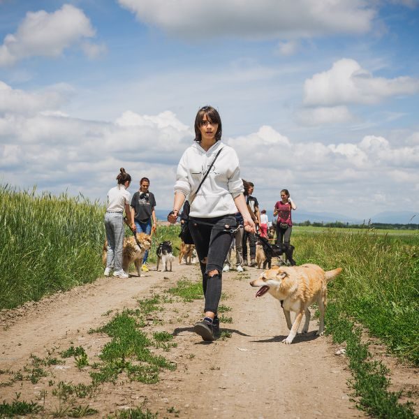 Ein Mädchen geht mit einem Hund an der Leine spazieren