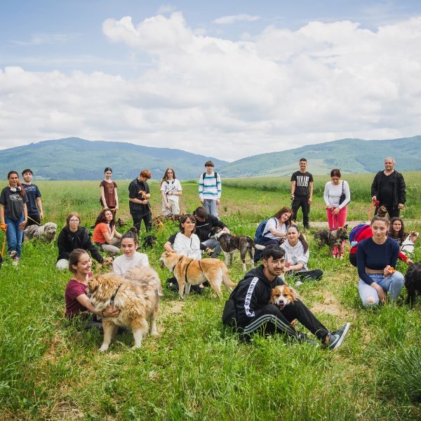 Schüler und Hunde sitzen gemeinsam auf der Wiese und schauen freudig in die Kamera