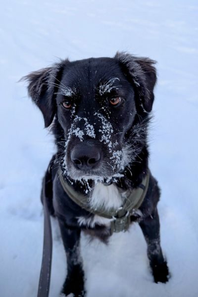 Beitragsbild - Lenora