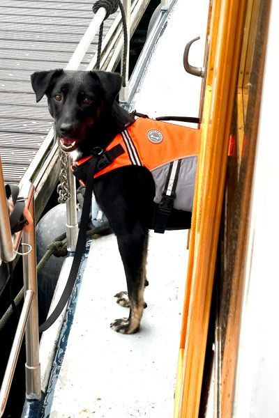 Cooper steht auf einem Boot und schaut in die Kamera