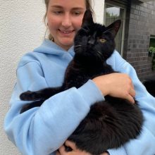 Heidi TL Facebook Story & Reels